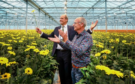 Kroniek stuk Onverschilligheid Jumbo lanceert als eerste supermarkt eigen bloem | Elsman